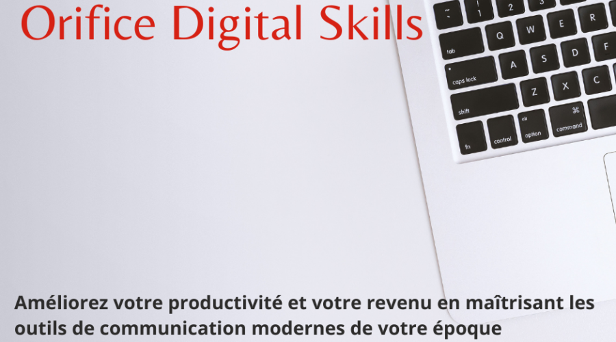 Séminaire formation – Orifice Digital Skills with Google and Facebook