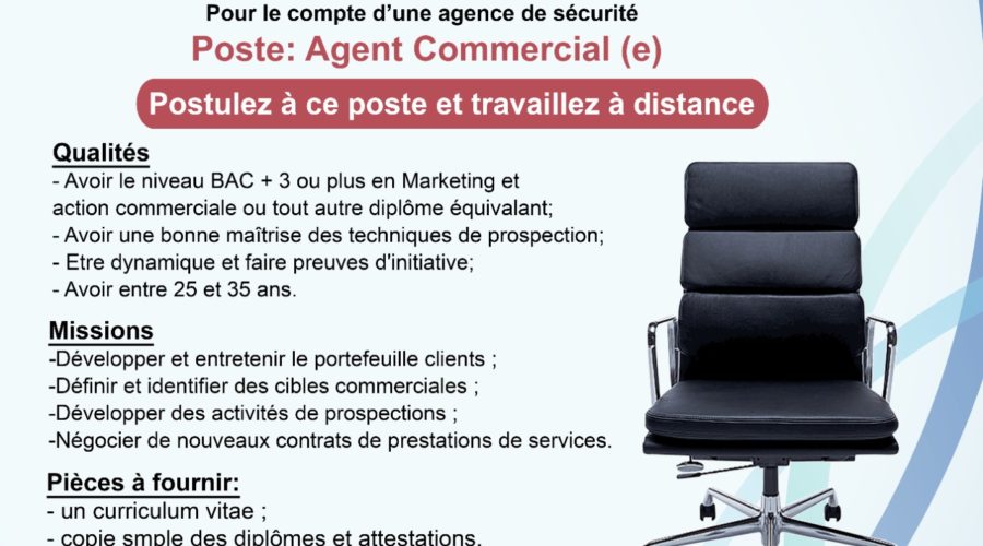 Agents commercial (e)